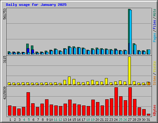 Daily usage for January 2025