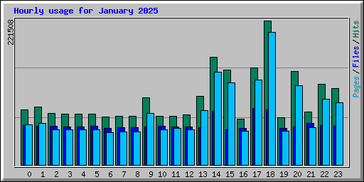 Hourly usage for January 2025