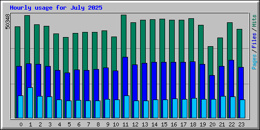 Hourly usage for July 2025