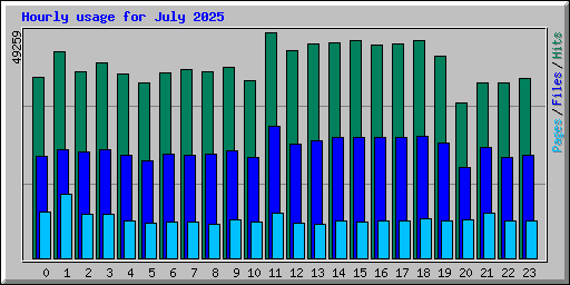 Hourly usage for July 2025