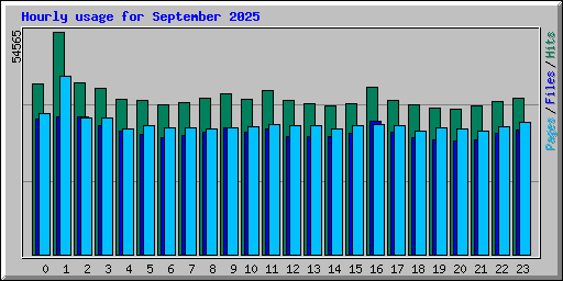 Hourly usage for September 2025