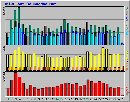 Daily usage for December 2024