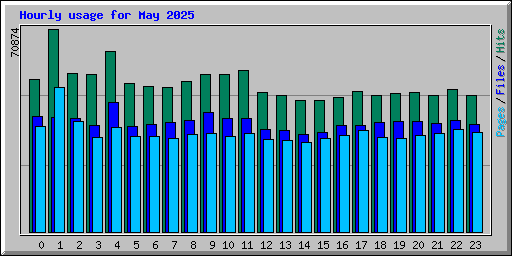 Hourly usage for May 2025